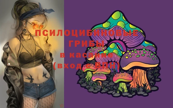 соль курить ск Михайловск