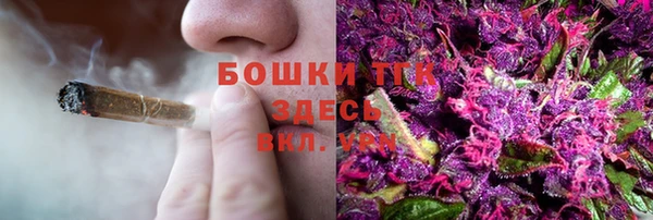 дурь Михайлов