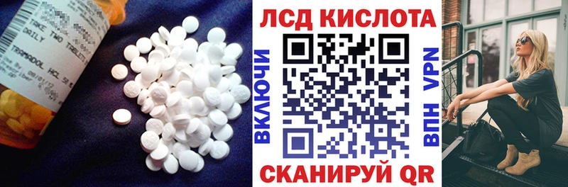 LSD-25 экстази кислота  кракен как войти  Тайга 