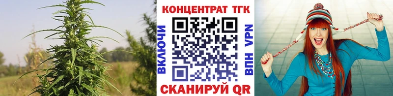 закладки Тайга Дистиллят ТГК вейп с тгк