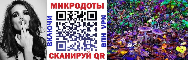 закладки  MEGA ONION  мориарти Telegram  Тайга  Галлюциногенные грибы Psilocybine cubensis 